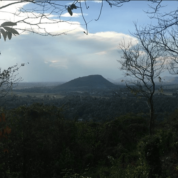 Mountain views
