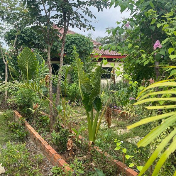 savet family homestay battambag greenery